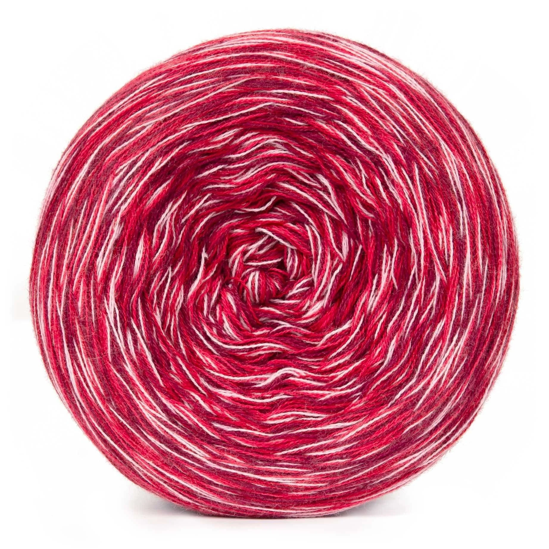 Dahlia Mixo - Image 17