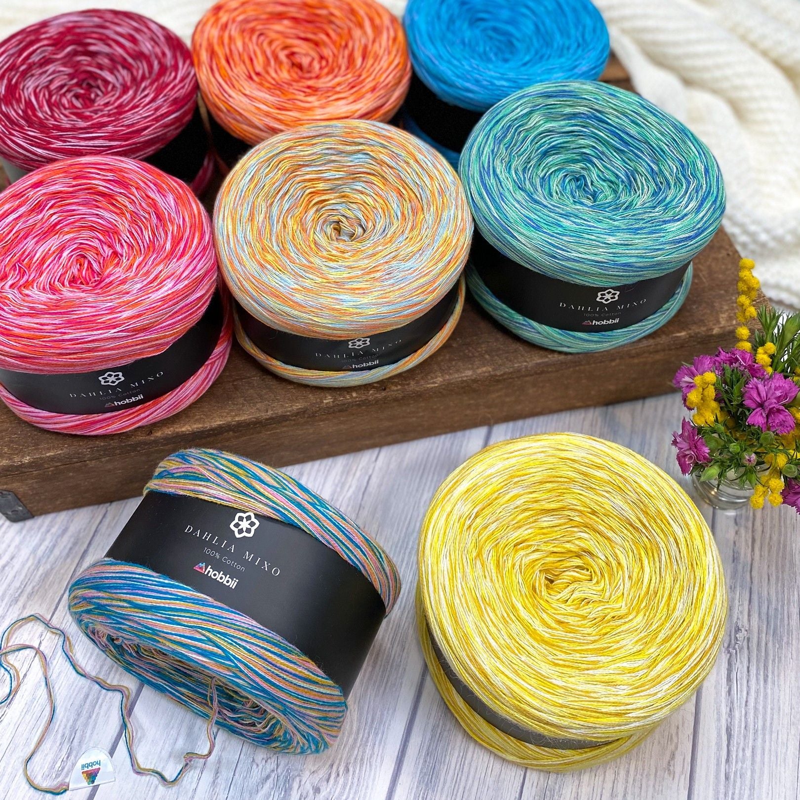 Dahlia Mixo - Image 3