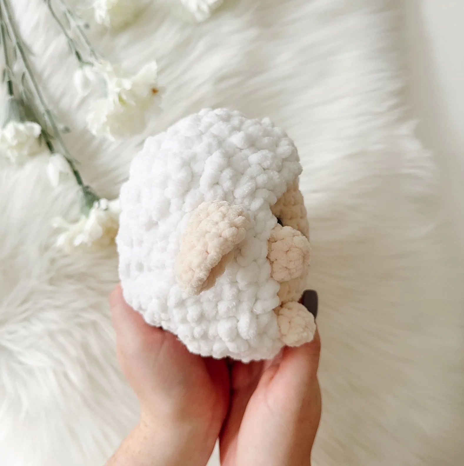 Shelby Schaf - Image 3